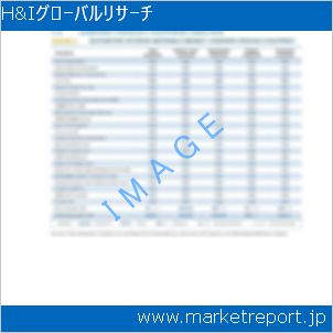 市場と産業調査レポートのイメージ